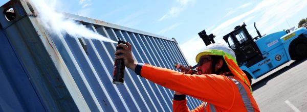 AP spraying cobwebs on sea container
